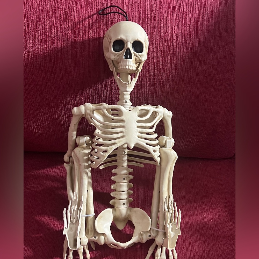 Decorative Skeleton Figure
